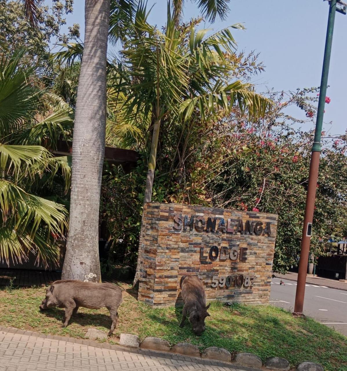 Shonalanga Lodge St Lucia Exterior photo